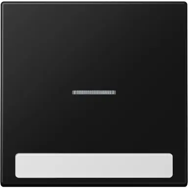 JUNG LS 990 NAKO5 SWM schakelwip met controlevenster en tekstvenster LS990 grafietzwart mat