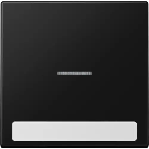 JUNG LS 990 NAKO5 SWM schakelwip met controlevenster en tekstvenster LS990 grafietzwart mat