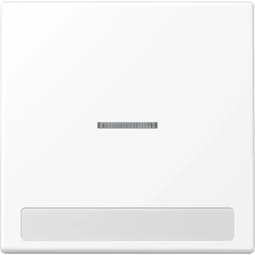 JUNG LS 990 NAKO5 WWM schakelwip met controlevenster en tekstvenster LS990 sneeuwwit mat
