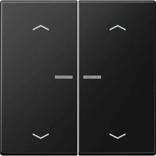 JUNG LS 102 KO5P SWM schakelwip 2-voudig met controlevenster en pijlsymbolen voor HOME draadloze schakelaar LS990 grafietzwart mat