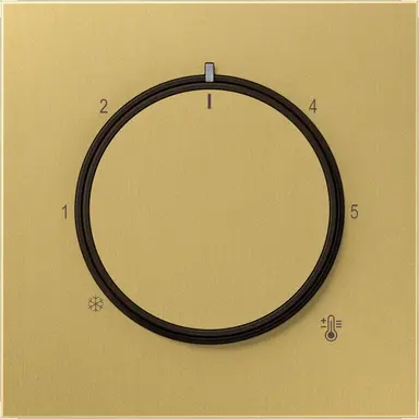 JUNG ME 1749 C knop voor ruimtethermostaat LS990 messing klassiek