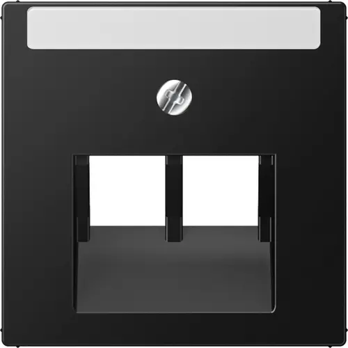 JUNG A 569-2 NA PLUA SWM centraalplaat 2-voudig met tekstvenster tbv RJ45 wandcontactdoos A-range grafietzwart mat