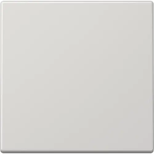JUNG BLE LS 990 LG bluetooth low energy radiografische wandzender 2-kanaals LS990 lichtgrijs