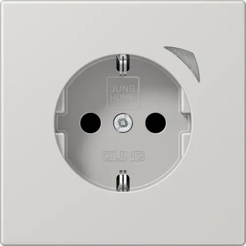 JUNG BT LS 1521 S LG HOME wandcontactdoos randaarde LS990 lichtgrijs