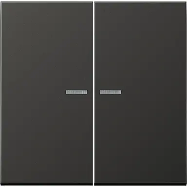JUNG BT AL 17102 AN HOME bedieningsknop 2-voudig LS990 antraciet gelakt aluminium