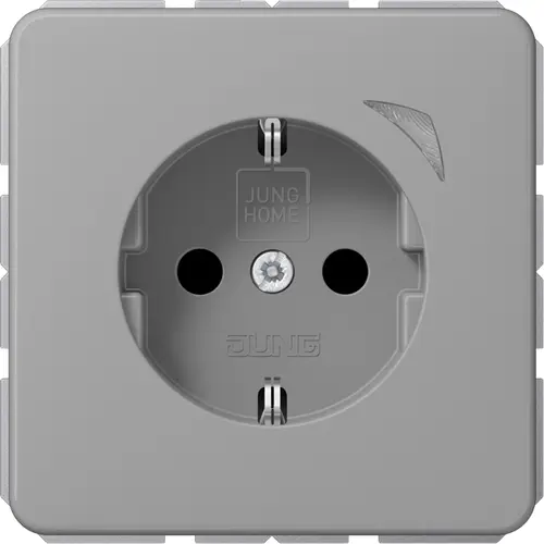 JUNG BT CD 1521 SE GR HOME wandcontactdoos randaarde Energy CD500 grijs
