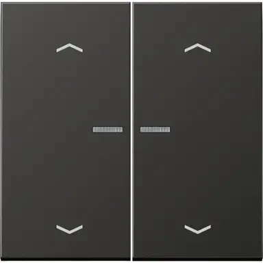 JUNG BT AL 17102 P AN HOME bedieningsknop 2-voudig met pijlsymbolen LS990 antraciet gelakt aluminium