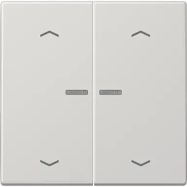 JUNG BT LS 17102 P LG HOME bedieningsknop 2-voudig met pijlsymbolen LS990 lichtgrijs