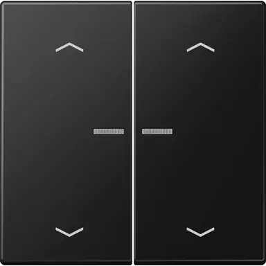 JUNG BT LS 17102 P SWM HOME bedieningsknop 2-voudig met pijlsymbolen LS990 grafietzwart mat
