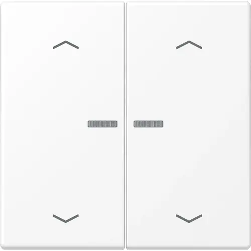 JUNG BT LS 17102 P WWM HOME bedieningsknop 2-voudig met pijlsymbolen LS990 sneeuwwit mat