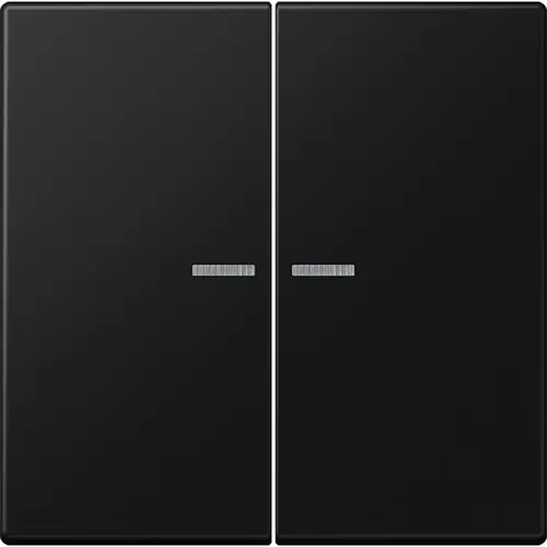 JUNG BT LS 17102 SWM HOME bedieningsknop 2-voudig LS990 grafietzwart mat