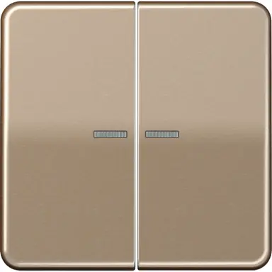 JUNG BT CD 17102 GB HOME bedieningsknop 2-voudig CD500 goud brons