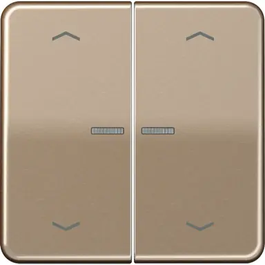 JUNG BT CD 17102 P GB HOME bedieningsknop 2-voudig met pijlsymbolen CD500 goud brons