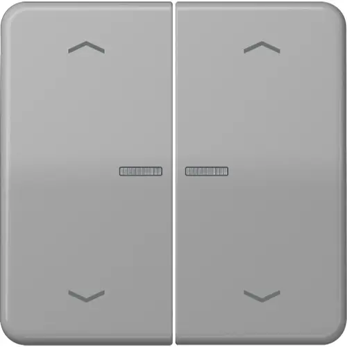 JUNG BT CD 17102 P GR HOME bedieningsknop 2-voudig met pijlsymbolen CD500 grijs