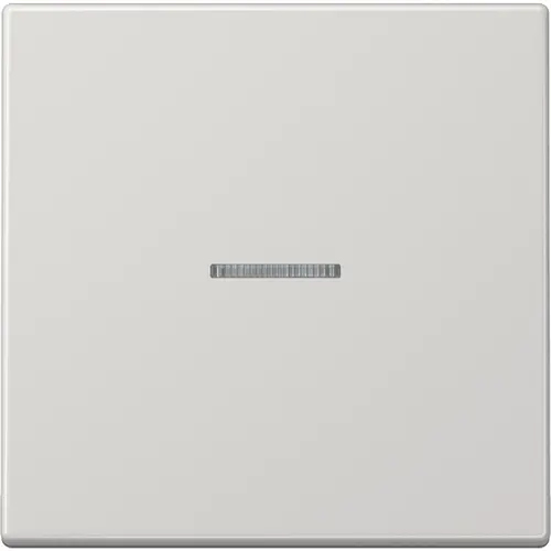 JUNG BT LS 17101 LG HOME bedieningsknop 1-voudig LS990 lichtgrijs
