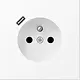 JUNG LS 1520 F-18 C WWM wandcontactdoos penaarde Safety+ met USB type C LS990 sneeuwwit mat