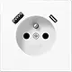 JUNG LS 1520 F-15 CA WW wandcontactdoos penaarde Safety+ met USB type A en C LS990 alpine wit