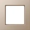 JUNG A 5581 BF CH afdekraam 1-voudig A550 champagne