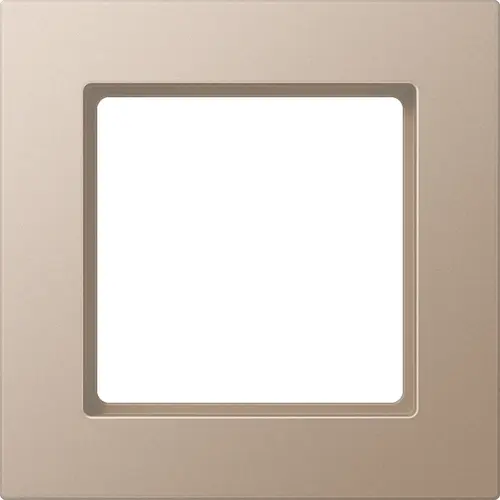 JUNG A 5581 BF CH afdekraam 1-voudig A550 champagne