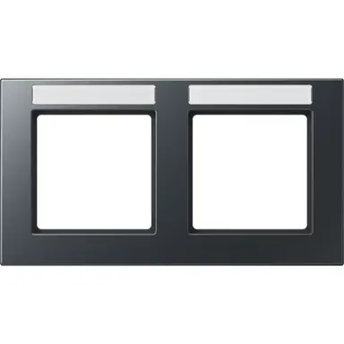 JUNG A 55820 BF NA ANM afdekraam 2-voudig horizontaal met tekstvenster A550 antraciet mat