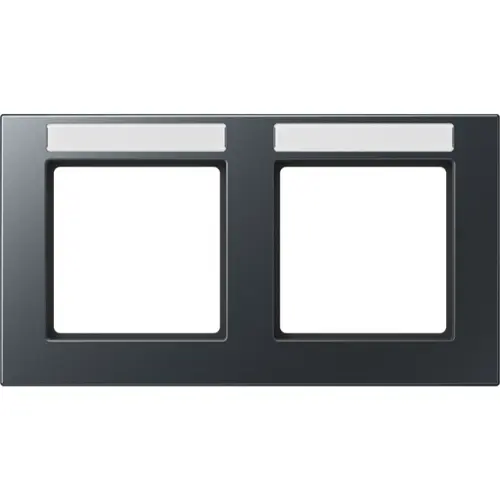 JUNG A 55820 BF NA ANM afdekraam 2-voudig horizontaal met tekstvenster A550 antraciet mat