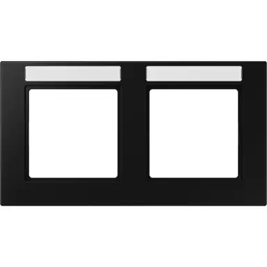 JUNG A 55820 BF NA SWM afdekraam 2-voudig horizontaal met tekstvenster A550 grafietzwart mat
