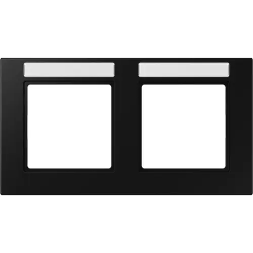 JUNG A 55820 BF NA SWM afdekraam 2-voudig horizontaal met tekstvenster A550 grafietzwart mat