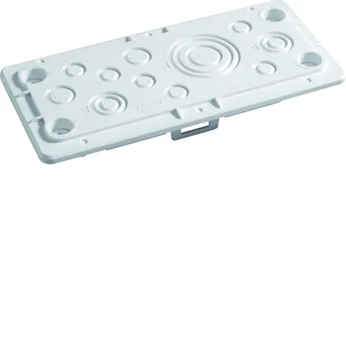 Hager FZ468NT Invoerplaat