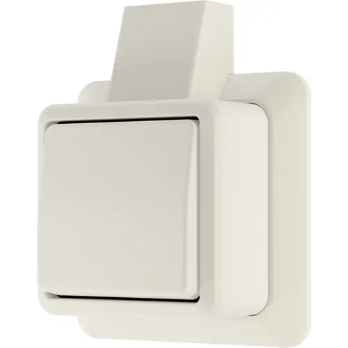 JUNG 606ASM opbouw wisselschakelaar 10A met montageplaat en kabelinvoer AP600 creme