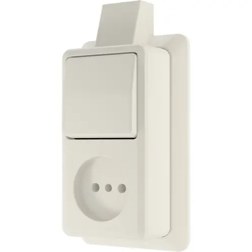 JUNG 646ASM opbouw combinatie wisselschakelaar/wandcontactdoos zonder randaarde met montageplaat en kabelinvoer AP600 creme