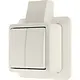 JUNG 605ASM opbouw serieschakelaar 10A met montageplaat en kabelinvoer AP600 creme
