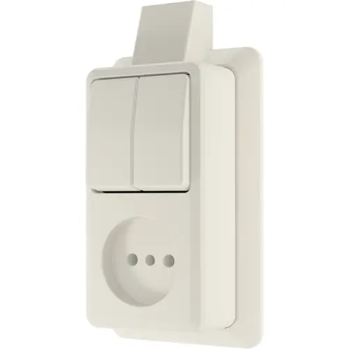 JUNG 645ASM opbouw combinatie serieschakelaar/wandcontactdoos zonder randaarde met montageplaat en kabelinvoer AP600 creme