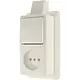 JUNG 646 A SM opbouw combinatie wisselschakelaar/wandcontactdoos zonder randaarde met montageplaat en kabelinvoer AP600 creme
