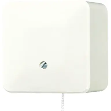 JUNG 606 ZA opbouw trek wisselschakelaar 10A AP600 creme