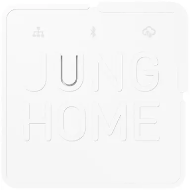 JUNG BT S GATEWAY gateway HOME systeem