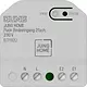 JUNG BT P B2 U HOME Puck binaire ingang 2-voudig 230 V