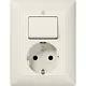 JUNG AS 5576 EU combinatie schakelaar/wandcontactdoos randaarde AS500 creme