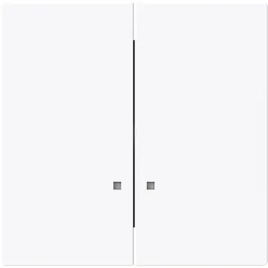 Busch-Jaeger 1785 K-44G schakelwip 2-voudig controlevenster Art Linear studiowit glans