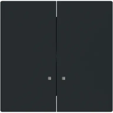 Busch-Jaeger 1785 K-45M schakelwip 2-voudig controlevenster Art Linear zwart mat