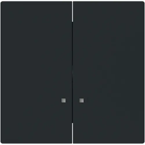 Busch-Jaeger 1785 K-45M schakelwip 2-voudig controlevenster Art Linear zwart mat