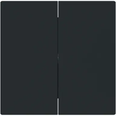 Busch-Jaeger 1785-45M schakelwip 2-voudig Art Linear zwart mat