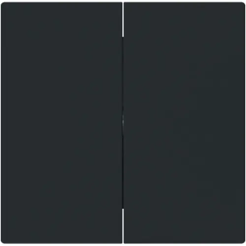 Busch-Jaeger 1785-45M schakelwip 2-voudig Art Linear zwart mat
