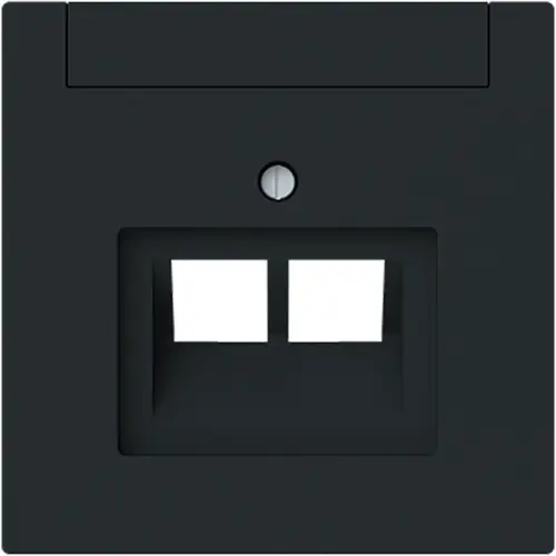 Busch-Jaeger 1803-02-45M centraalplaat RJ45 wandcontactdoos 2-voudig Art Linear zwart mat