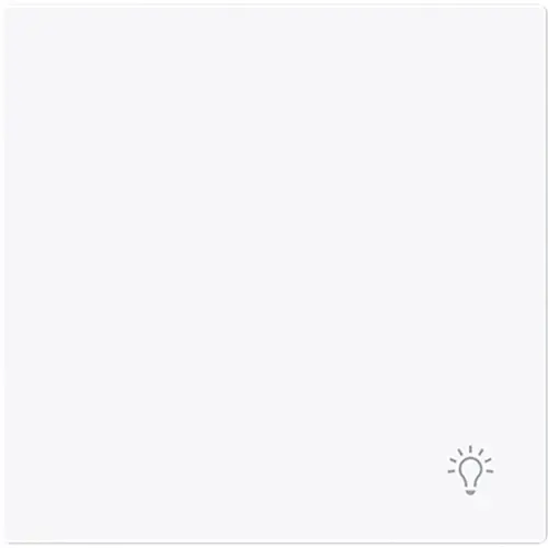 Busch-Jaeger 2520 LI-44G schakelwip symbool licht Art Linear studiowit glans