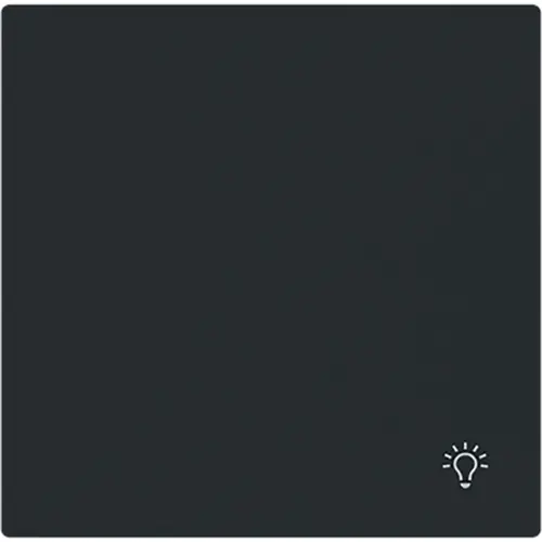 Busch-Jaeger 2520 LI-45M schakelwip symbool licht Art Linear zwart mat