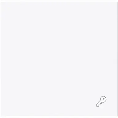 Busch-Jaeger 2520 TR-44G schakelwip symbool sleutel Art Linear studiowit glans