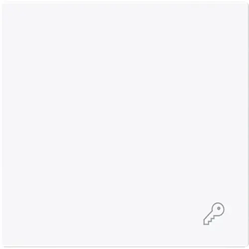 Busch-Jaeger 2520 TR-44G schakelwip symbool sleutel Art Linear studiowit glans