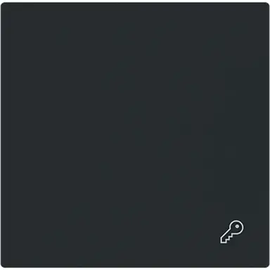 Busch-Jaeger 2520 TR-45M schakelwip symbool sleutel Art Linear zwart mat