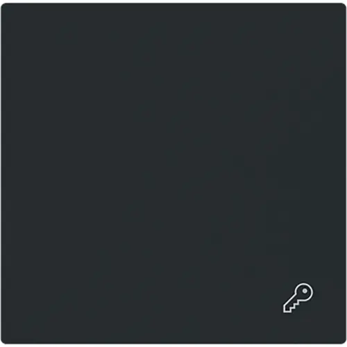 Busch-Jaeger 2520 TR-45M schakelwip symbool sleutel Art Linear zwart mat