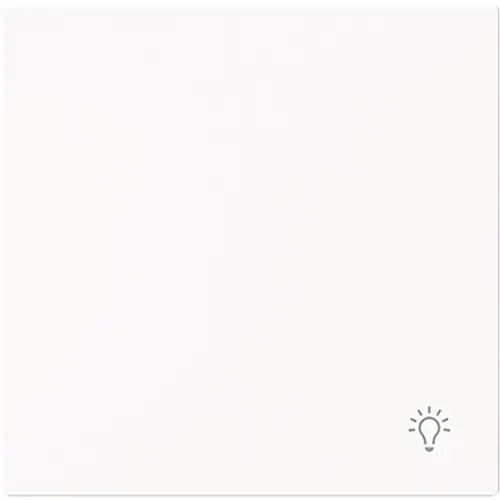 Busch-Jaeger 2520 LI-44M schakelwip symbool licht Art Linear studiowit mat